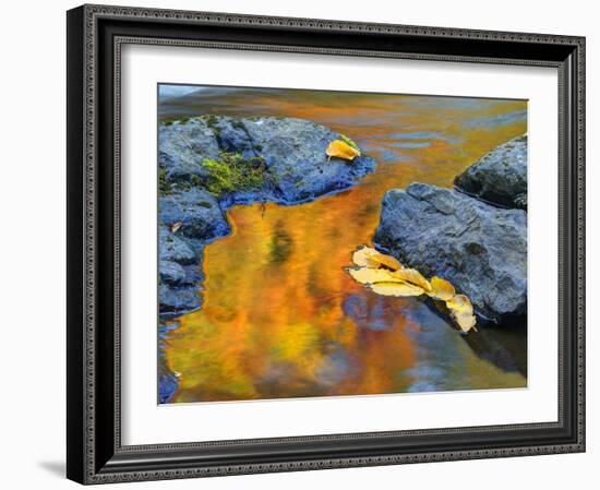 Michigan, Upper Peninsula. Fall Colors Along the River with Leaves-Julie Eggers-Framed Photographic Print