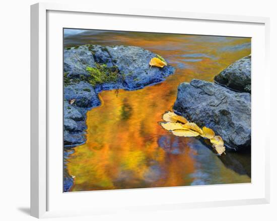 Michigan, Upper Peninsula. Fall Colors Along the River with Leaves-Julie Eggers-Framed Photographic Print