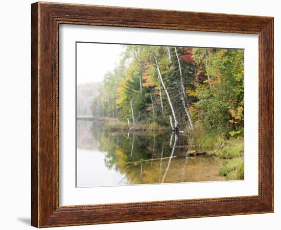 Michigan, Upper Peninsula. Fall Colors on Thornton Lake, Alger Co-Julie Eggers-Framed Photographic Print