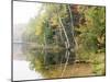 Michigan, Upper Peninsula. Fall Colors on Thornton Lake, Alger Co-Julie Eggers-Mounted Photographic Print