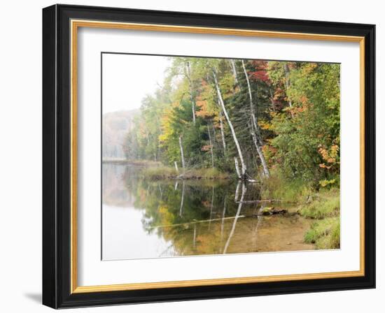 Michigan, Upper Peninsula. Fall Colors on Thornton Lake, Alger Co-Julie Eggers-Framed Photographic Print