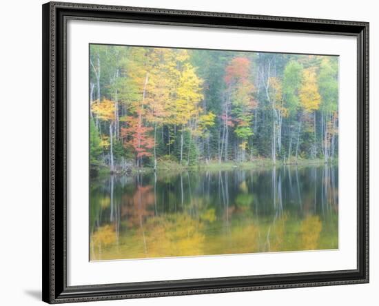 Michigan, Upper Peninsula. Fall Colors on Thornton Lake, Alger Co-Julie Eggers-Framed Photographic Print