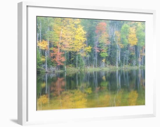 Michigan, Upper Peninsula. Fall Colors on Thornton Lake, Alger Co-Julie Eggers-Framed Photographic Print