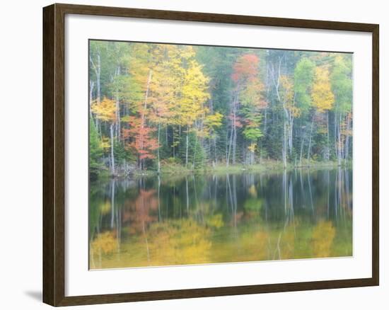 Michigan, Upper Peninsula. Fall Colors on Thornton Lake, Alger Co-Julie Eggers-Framed Photographic Print