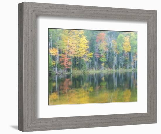 Michigan, Upper Peninsula. Fall Colors on Thornton Lake, Alger Co-Julie Eggers-Framed Photographic Print