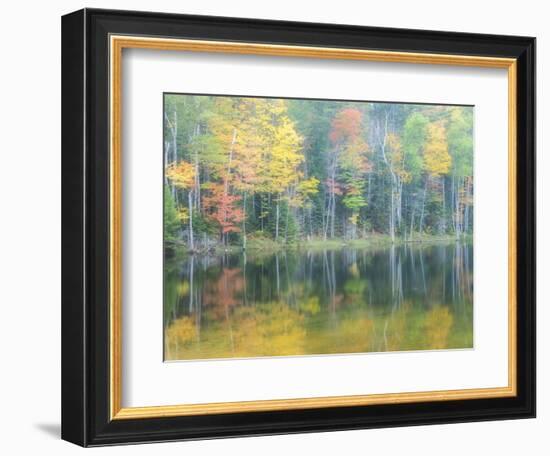 Michigan, Upper Peninsula. Fall Colors on Thornton Lake, Alger Co-Julie Eggers-Framed Photographic Print