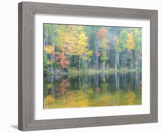 Michigan, Upper Peninsula. Fall Colors on Thornton Lake, Alger Co-Julie Eggers-Framed Photographic Print