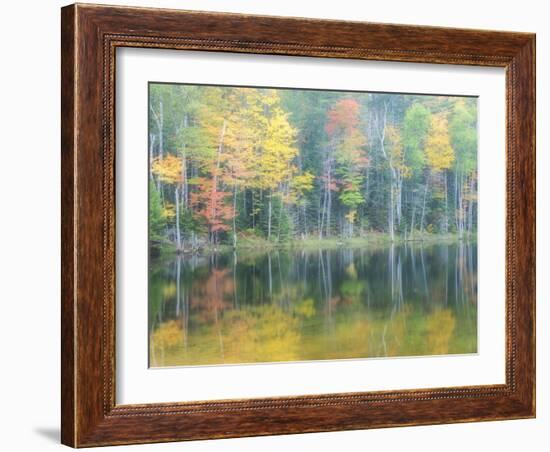 Michigan, Upper Peninsula. Fall Colors on Thornton Lake, Alger Co-Julie Eggers-Framed Photographic Print