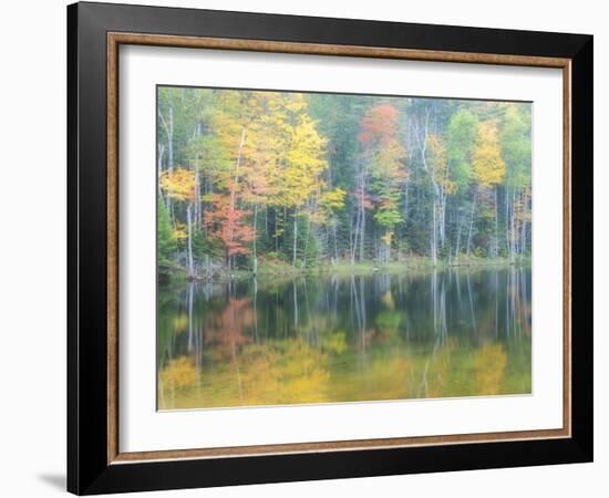 Michigan, Upper Peninsula. Fall Colors on Thornton Lake, Alger Co-Julie Eggers-Framed Photographic Print