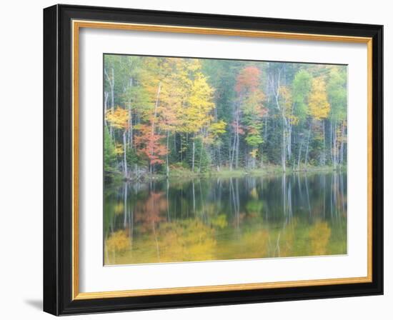 Michigan, Upper Peninsula. Fall Colors on Thornton Lake, Alger Co-Julie Eggers-Framed Photographic Print