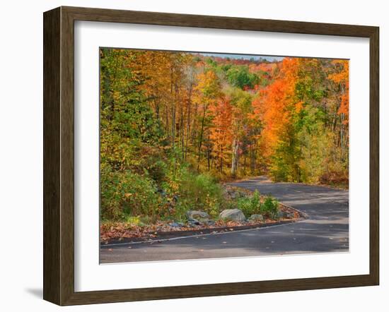 Michigan, Upper Peninsula. Road Through Hardwood Forest in Autumn-Julie Eggers-Framed Photographic Print