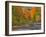 Michigan, Upper Peninsula. Road Through Hardwood Forest in Autumn-Julie Eggers-Framed Photographic Print