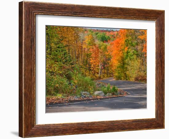 Michigan, Upper Peninsula. Road Through Hardwood Forest in Autumn-Julie Eggers-Framed Photographic Print