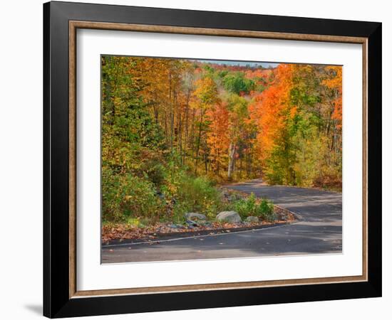 Michigan, Upper Peninsula. Road Through Hardwood Forest in Autumn-Julie Eggers-Framed Photographic Print