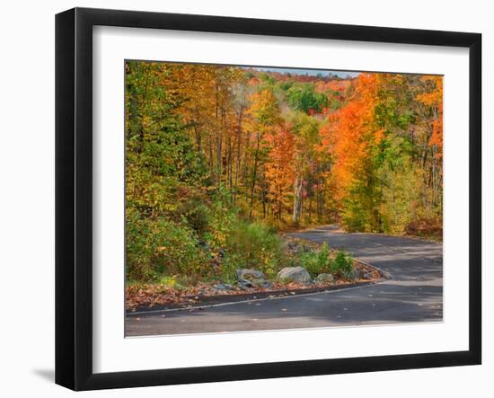 Michigan, Upper Peninsula. Road Through Hardwood Forest in Autumn-Julie Eggers-Framed Photographic Print