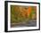 Michigan, Upper Peninsula. Road Through Hardwood Forest in Autumn-Julie Eggers-Framed Photographic Print