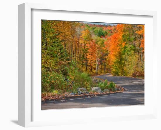 Michigan, Upper Peninsula. Road Through Hardwood Forest in Autumn-Julie Eggers-Framed Photographic Print