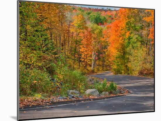 Michigan, Upper Peninsula. Road Through Hardwood Forest in Autumn-Julie Eggers-Mounted Photographic Print