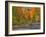 Michigan, Upper Peninsula. Road Through Hardwood Forest in Autumn-Julie Eggers-Framed Photographic Print