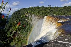View across the Rim of Kaieteur Falls, Guyana, South America-Mick Baines & Maren Reichelt-Photographic Print