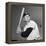 Mickey Mantle (1931-1995)-null-Framed Premier Image Canvas