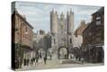 Stretched Canvas Print