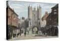 Stretched Canvas Print