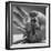 Micro Camera Resting in Palm of Hand-Andreas Feininger-Framed Photographic Print