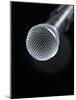 Microphone-Tek Image-Mounted Photographic Print