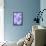 Microscipic View of Pancreatic Cancer Cells-null-Framed Stretched Canvas displayed on a wall