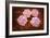 Microscipic View of Pancreatic Cancer Cells-null-Framed Art Print