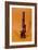 Microscope Belonging to Louis Pasteur-French School-Framed Giclee Print