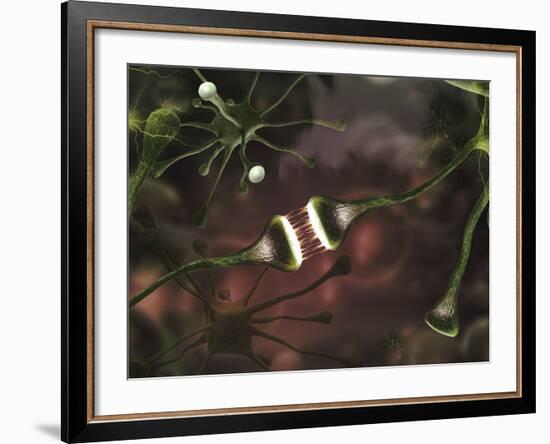 Microscopic Image of Brain Neurons-null-Framed Photographic Print