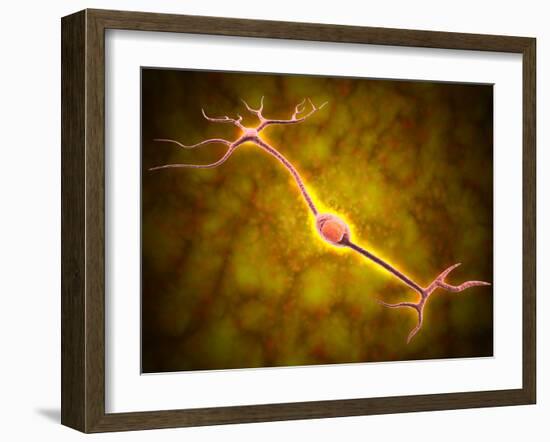 Microscopic View of a Bipolar Neuron-Stocktrek Images-Framed Photographic Print