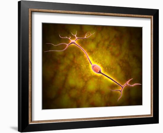 Microscopic View of a Bipolar Neuron-Stocktrek Images-Framed Photographic Print