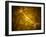 Microscopic View of a Bipolar Neuron-Stocktrek Images-Framed Photographic Print