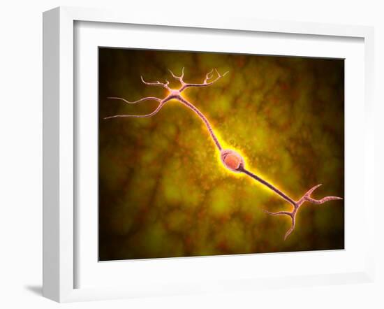 Microscopic View of a Bipolar Neuron-Stocktrek Images-Framed Photographic Print
