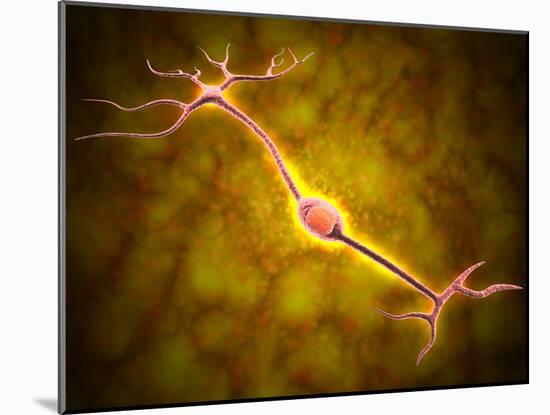 Microscopic View of a Bipolar Neuron-Stocktrek Images-Mounted Photographic Print