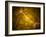Microscopic View of a Bipolar Neuron-Stocktrek Images-Framed Photographic Print