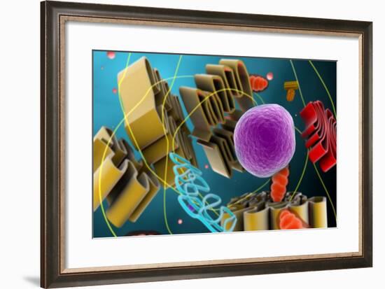 Microscopic View of Animal Cell Nucleus-null-Framed Art Print
