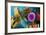 Microscopic View of Animal Cell Nucleus-null-Framed Art Print