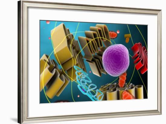 Microscopic View of Animal Cell Nucleus-null-Framed Art Print