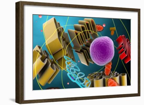 Microscopic View of Animal Cell Nucleus-null-Framed Art Print