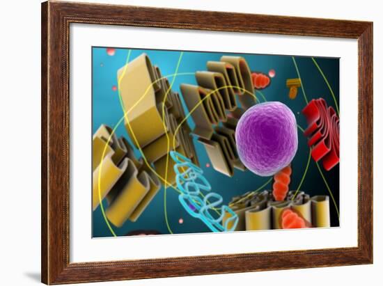 Microscopic View of Animal Cell Nucleus-null-Framed Art Print