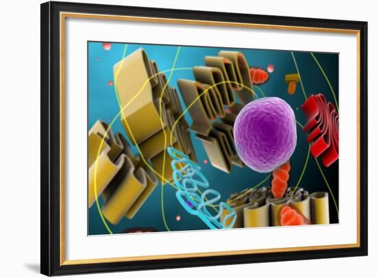 Microscopic View of Animal Cell Nucleus-null-Framed Art Print