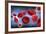 Microscopic View of Blood Cells with Virus-null-Framed Art Print