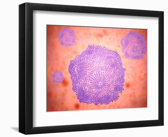 Art Print, , large