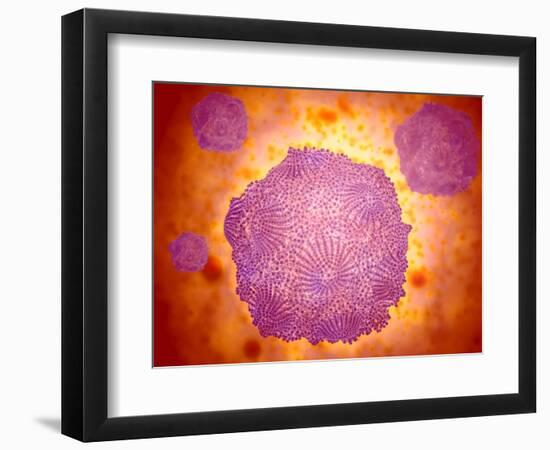 Art Print, , large