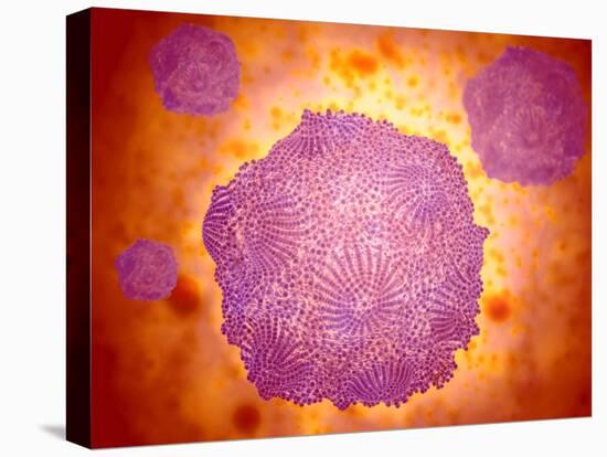 Stretched Canvas Print, , large