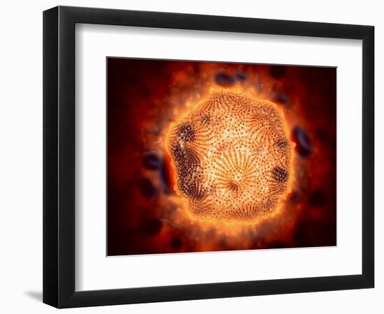 Art Print, , large